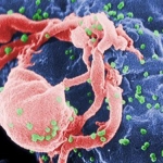 Con đường lây nhiễm HIV