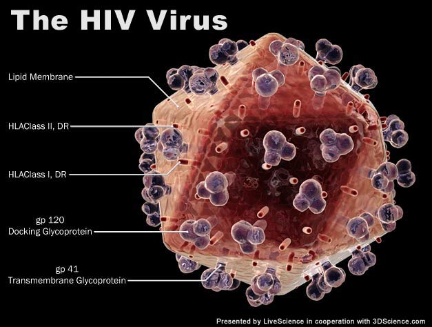 hiv-aids-7